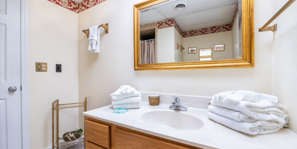 Gatlinburg - A Bear's View - Bathroom