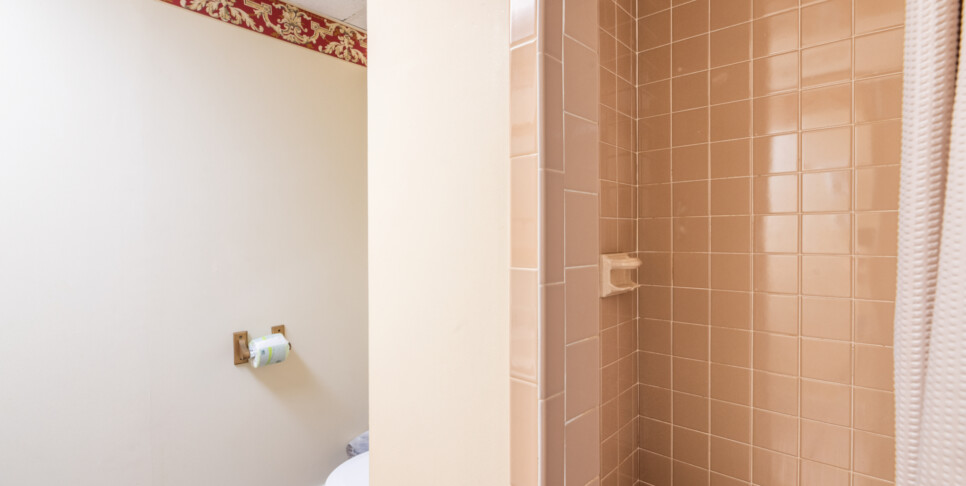 Gatlinburg - A Bear's View - Bathroom