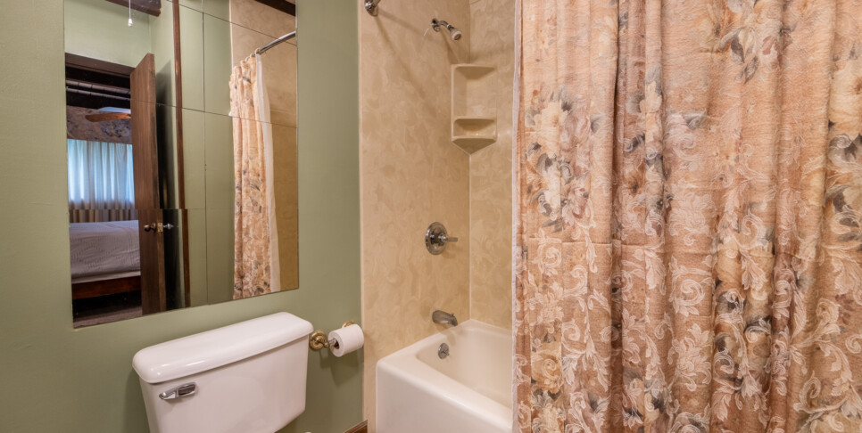 Gatlinburg - A Bear's View - Bathroom