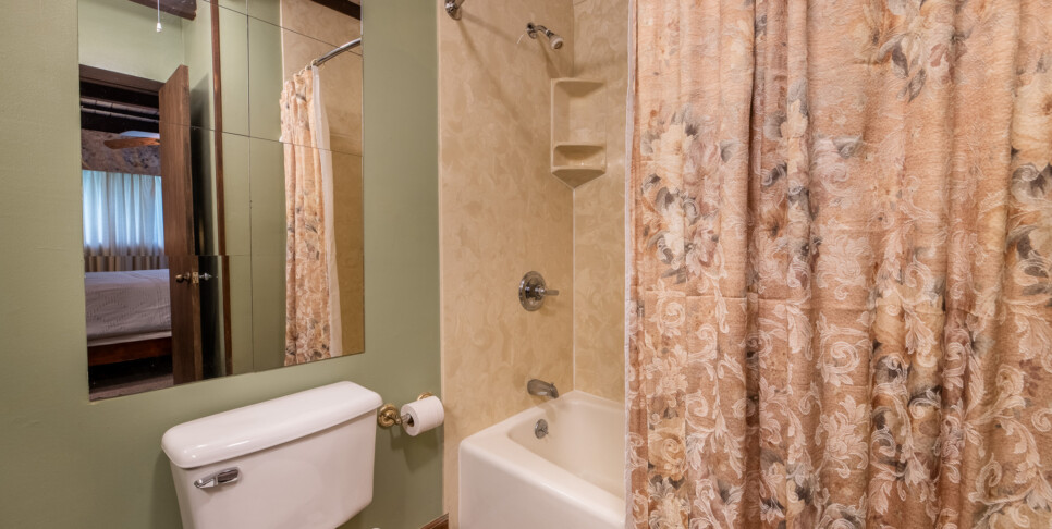Gatlinburg - A Bear's View - Bathroom