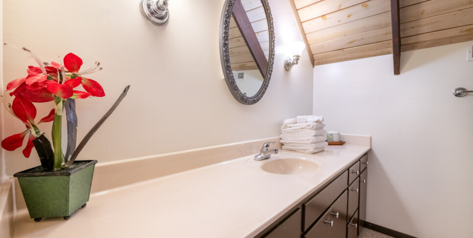 Gatlinburg - A Bear's View - Bathroom