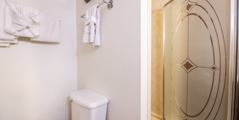 Gatlinburg - A Bear's View - Bathroom