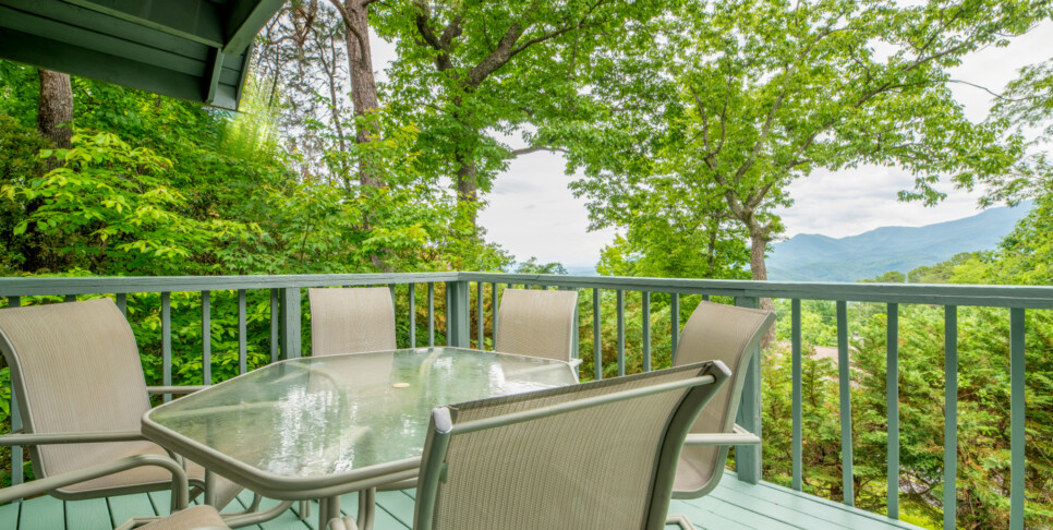 Gatlinburg - A Bear's View - Exterior