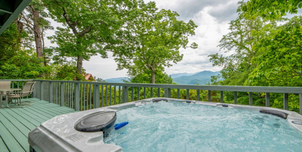 Gatlinburg - A Bear's View - Exterior