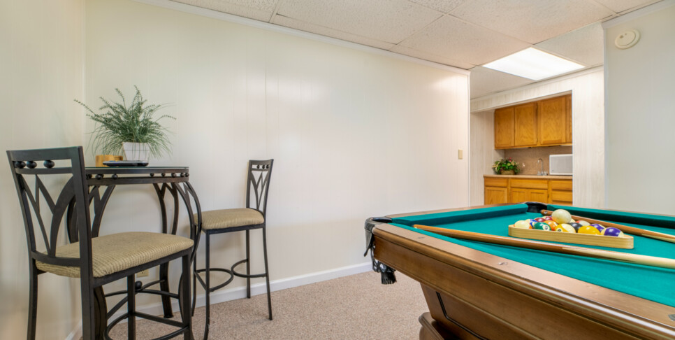 Gatlinburg - A Bear's View - Rec Room