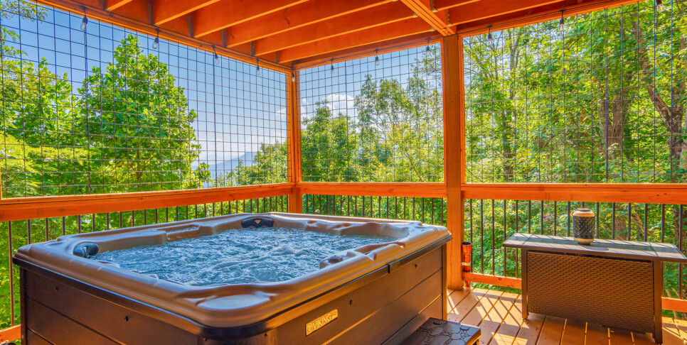 Gatlinburg - Smoky Mountain Skies - Exterior