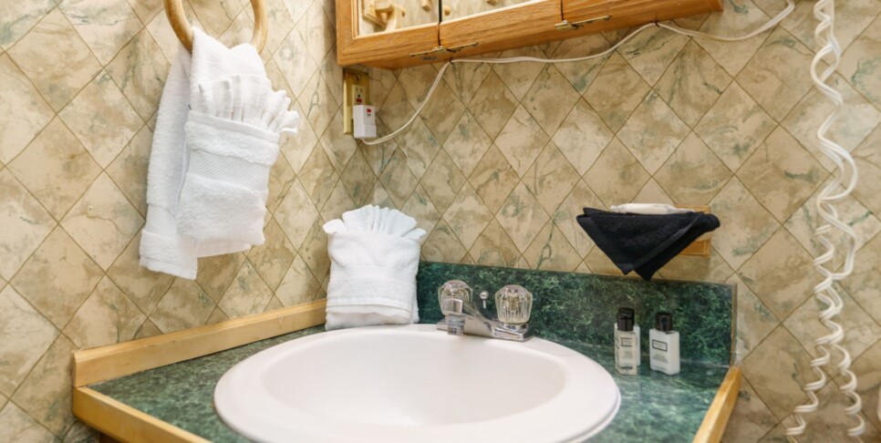 Gatlinburg - Grand View Mountain Chalet - Bathroom