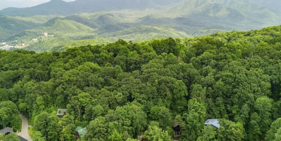 Gatlinburg - A Beary Active Cabin - Temp Photos
